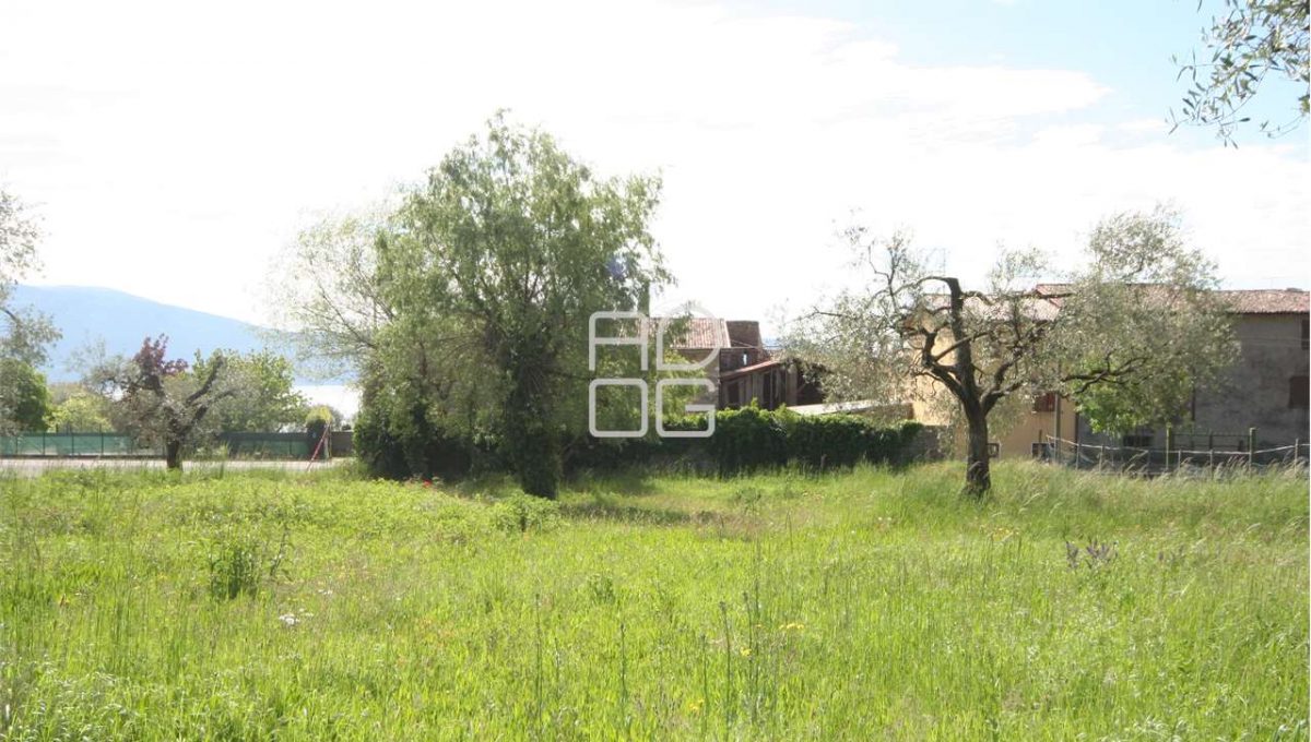 imm_18521-1280-_Watermark_png_mc