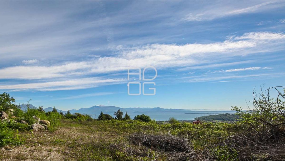 imm_28732-1280-_Watermark_png_mc