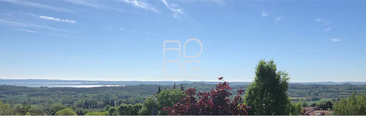 imm_8765-20240528171748-1280-_Watermark_png_mc