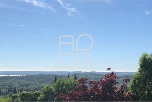 imm_8765-20240528171748-1280-_Watermark_png_mc