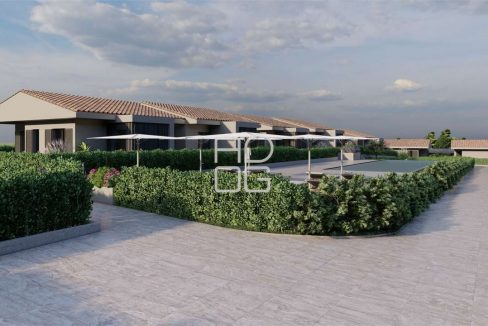 imm_55079-20241001065536-1280-_Watermark_png_mc.jpg