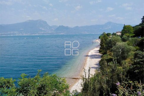 imm_62513-20250211101144-1280-_Watermark_png_mc