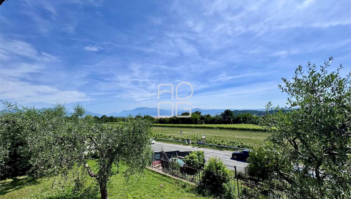 imm_66164-20250604173239-1280-_Watermark_png_mc