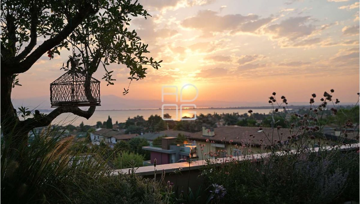 imm_66270-20250607095628-1280-_Watermark_png_mc.jpg