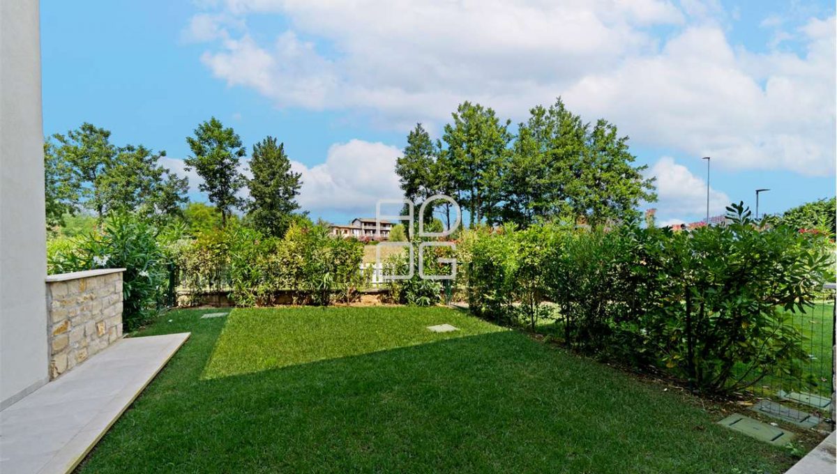 imm_67164-20250624143059-1280-_Watermark_png_mc
