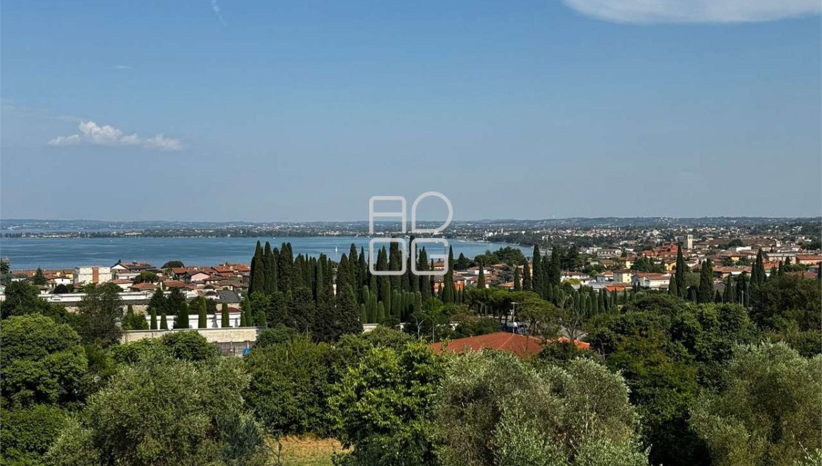 imm_67439-20250704175004-1280-_Watermark_png_mc