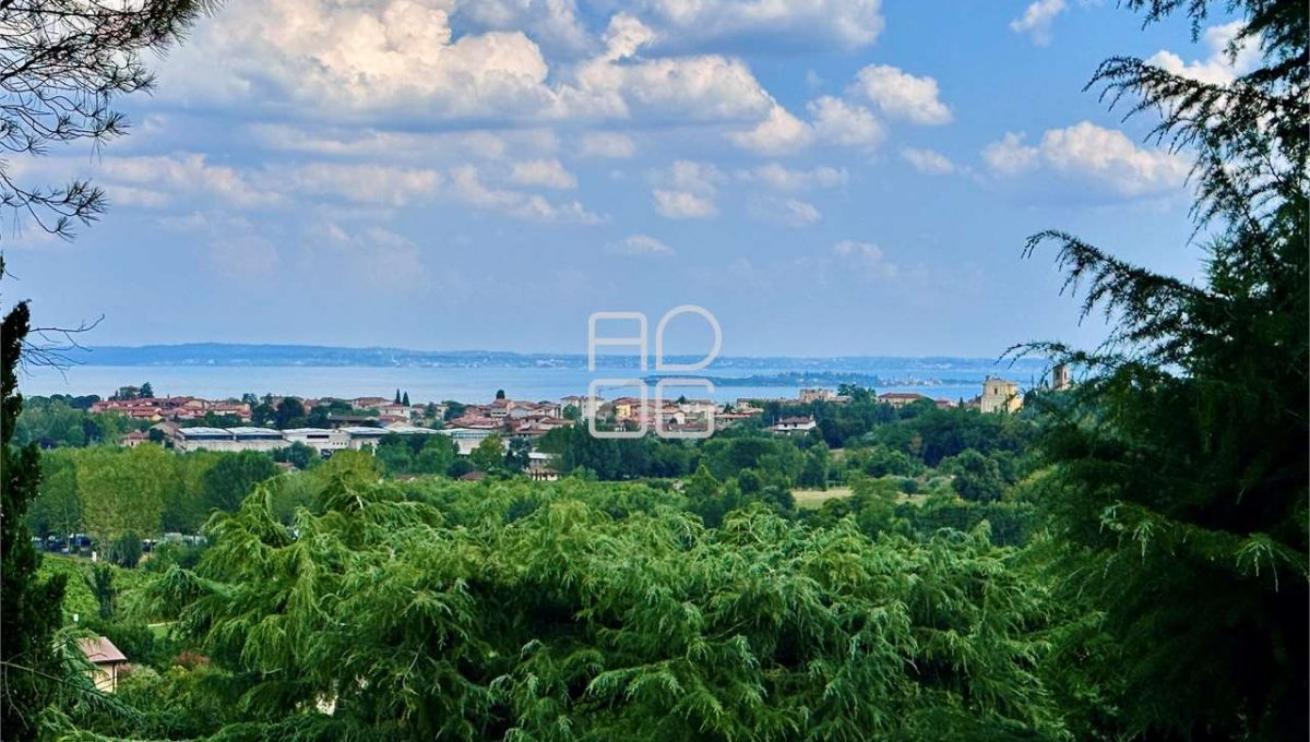 imm_67901-20250801184104-1280-_Watermark_png_mc