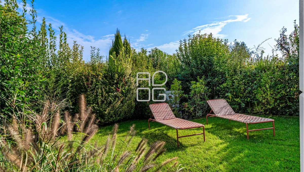 imm_69397-20251030121630-1280-_Watermark_png_mc