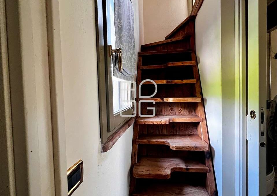 imm_57534-20240525165627-1280_Watermark_png_mc