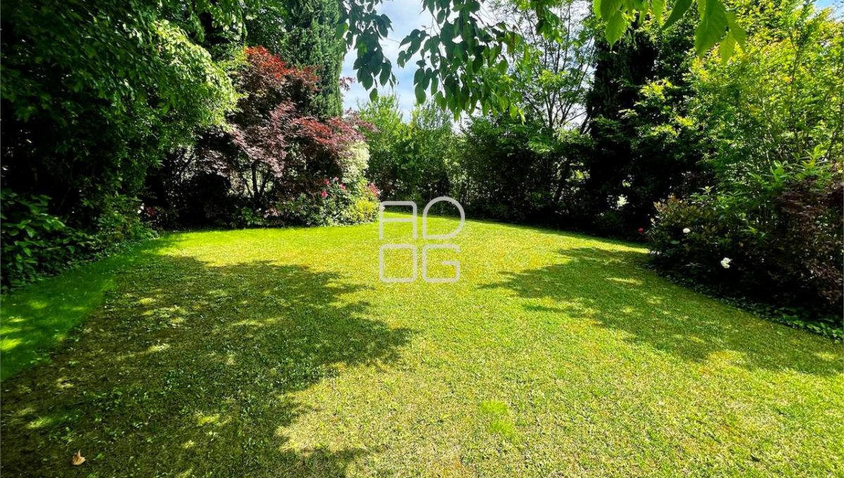 imm_57564-20240525164940-1280-_Watermark_png_mc