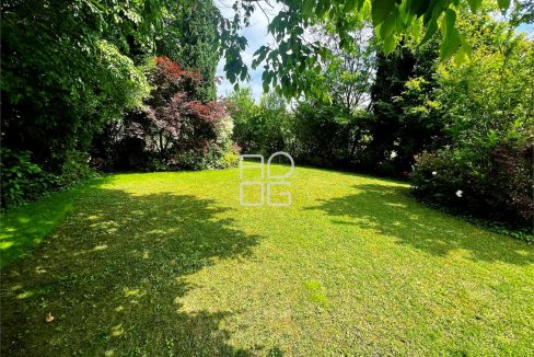 imm_57564-20240525164940-1280-_Watermark_png_mc