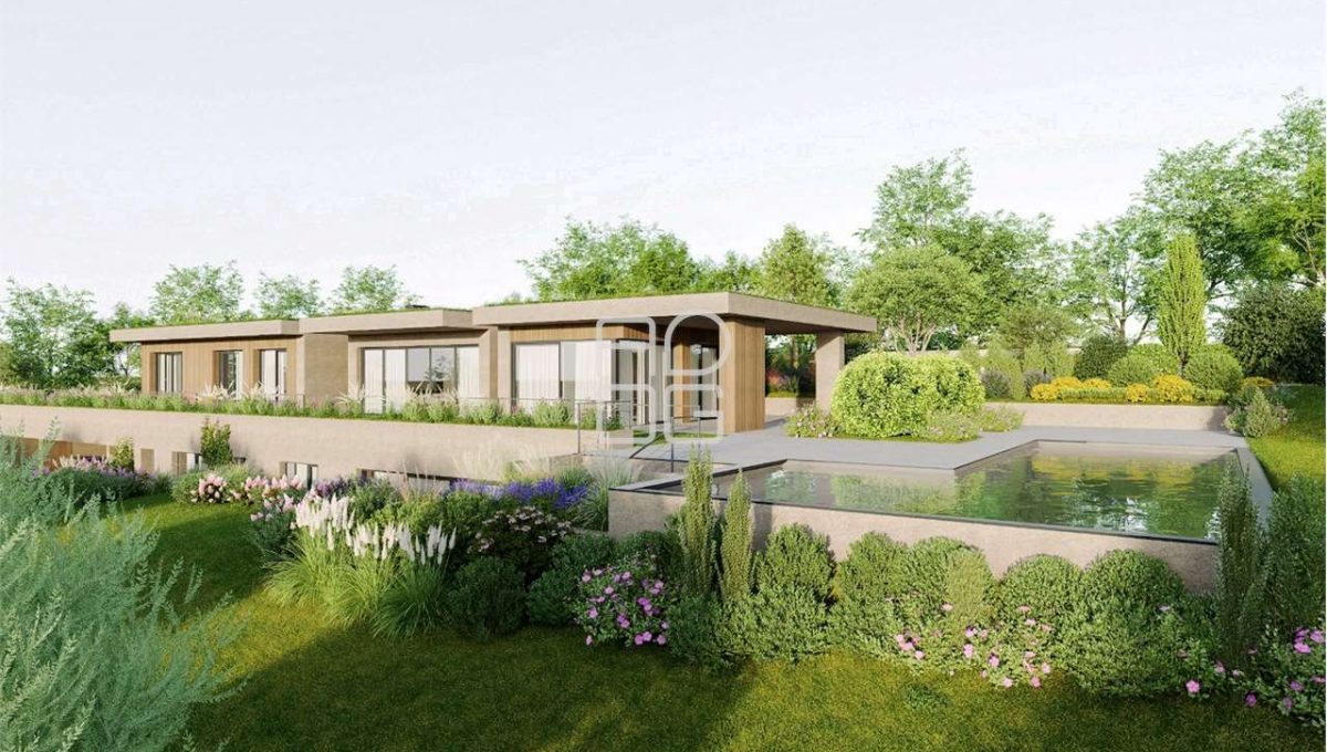 imm_69311-20251020151820-1280-_Watermark_png_mc