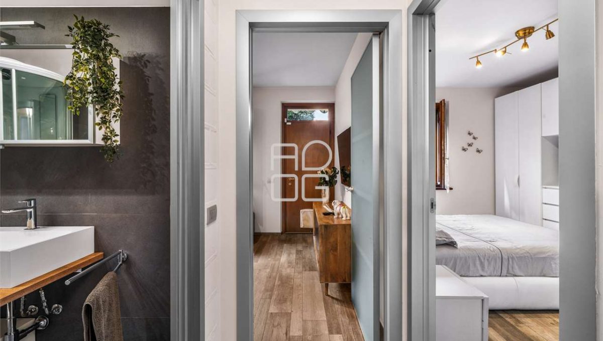 imm_69364-20251103155944-1280-_Watermark_png_mc