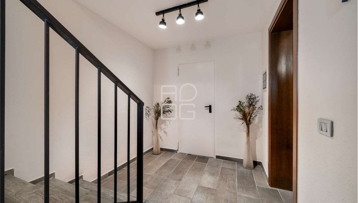 imm_69369-20251103160225-1280-_Watermark_png_mc