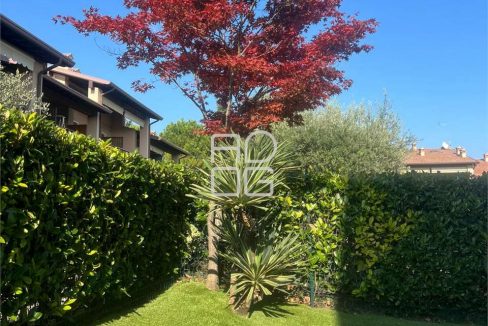 imm_69452-20251103162520-1280_Watermark_png_mc