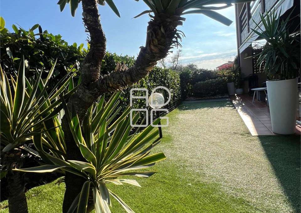 imm_69453-20251103162523-1280_Watermark_png_mc