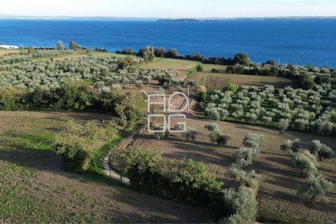 imm_69520-20251102223648-1280-_Watermark_png_mc