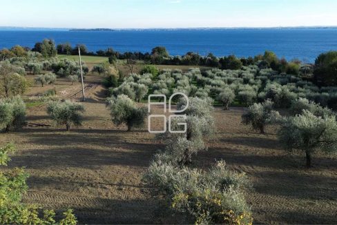 imm_69521-20251102223649-1280-_Watermark_png_mc