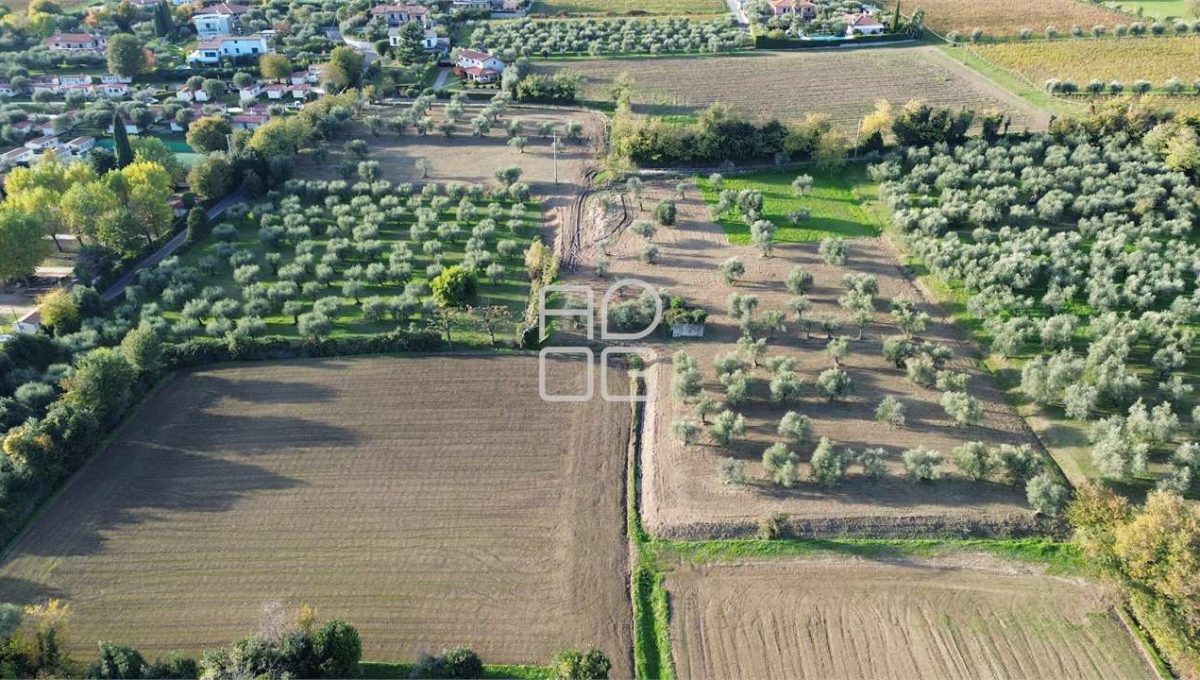 imm_69524-20251102223654-1280-_Watermark_png_mc