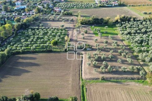 imm_69524-20251102223654-1280-_Watermark_png_mc