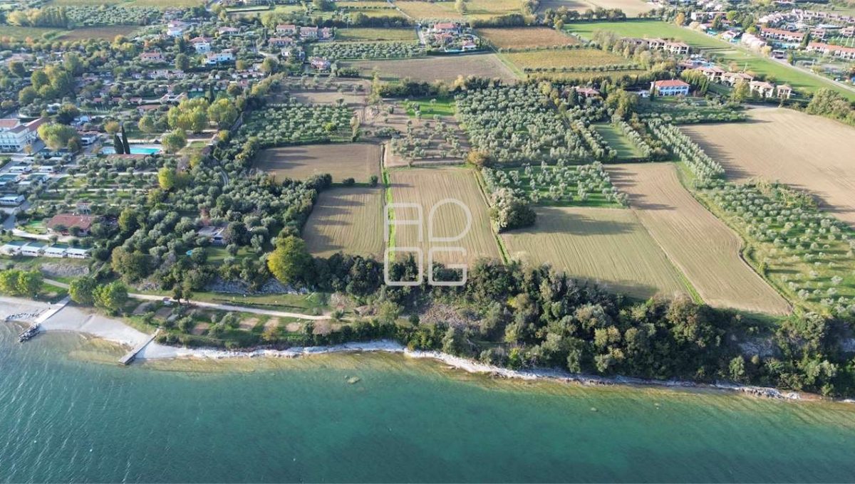 imm_69525-20251102223659-1280-_Watermark_png_mc