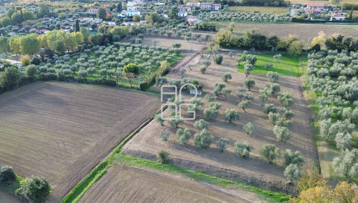 imm_69526-20251102223700-1280-_Watermark_png_mc