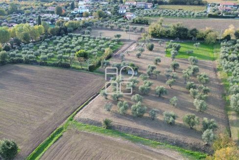 imm_69526-20251102223700-1280-_Watermark_png_mc