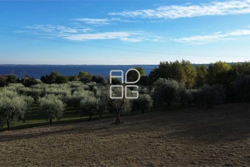 imm_69528-20251102223704-1280-_Watermark_png_mc