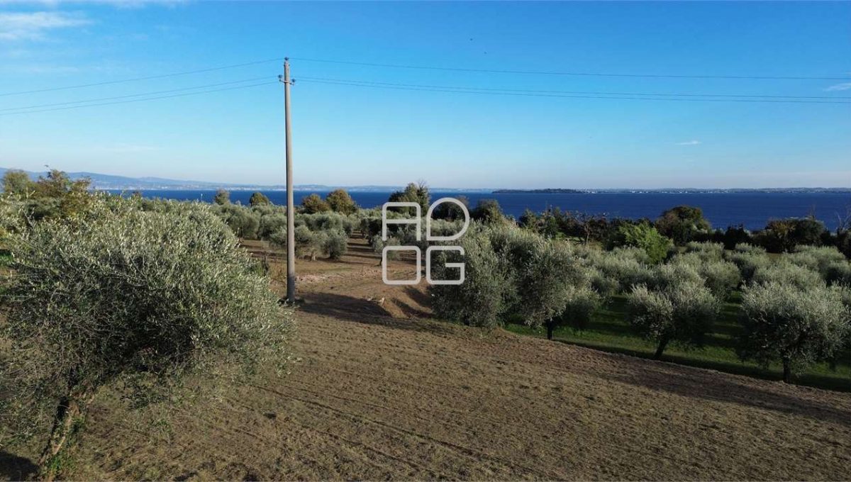 imm_69529-20251102223705-1280-_Watermark_png_mc