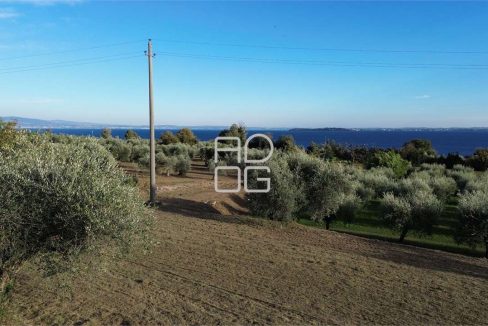 imm_69529-20251102223705-1280-_Watermark_png_mc