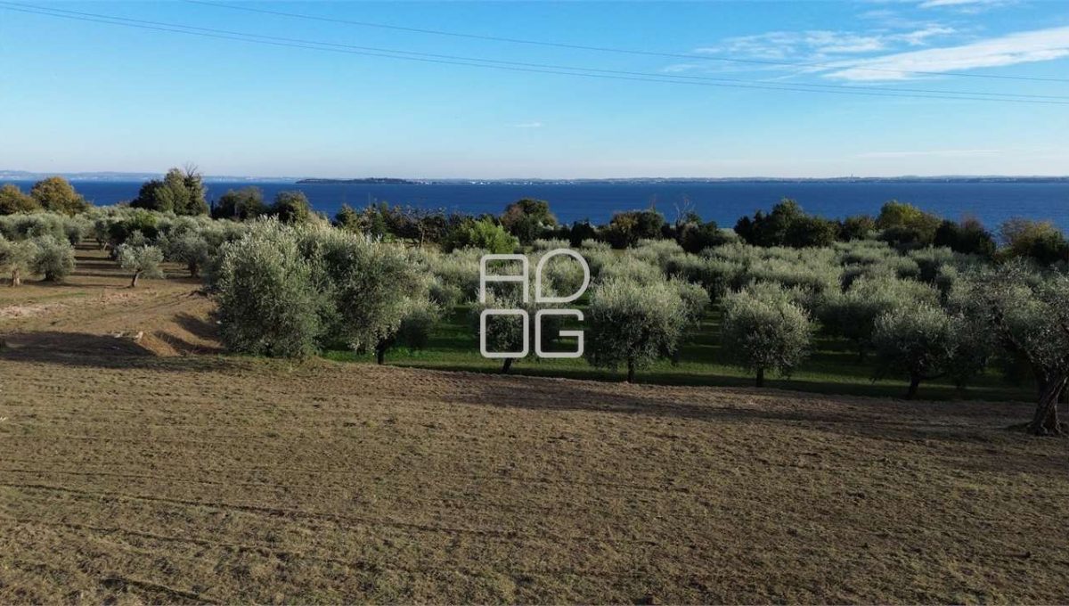 imm_69530-20251102223707-1280-_Watermark_png_mc