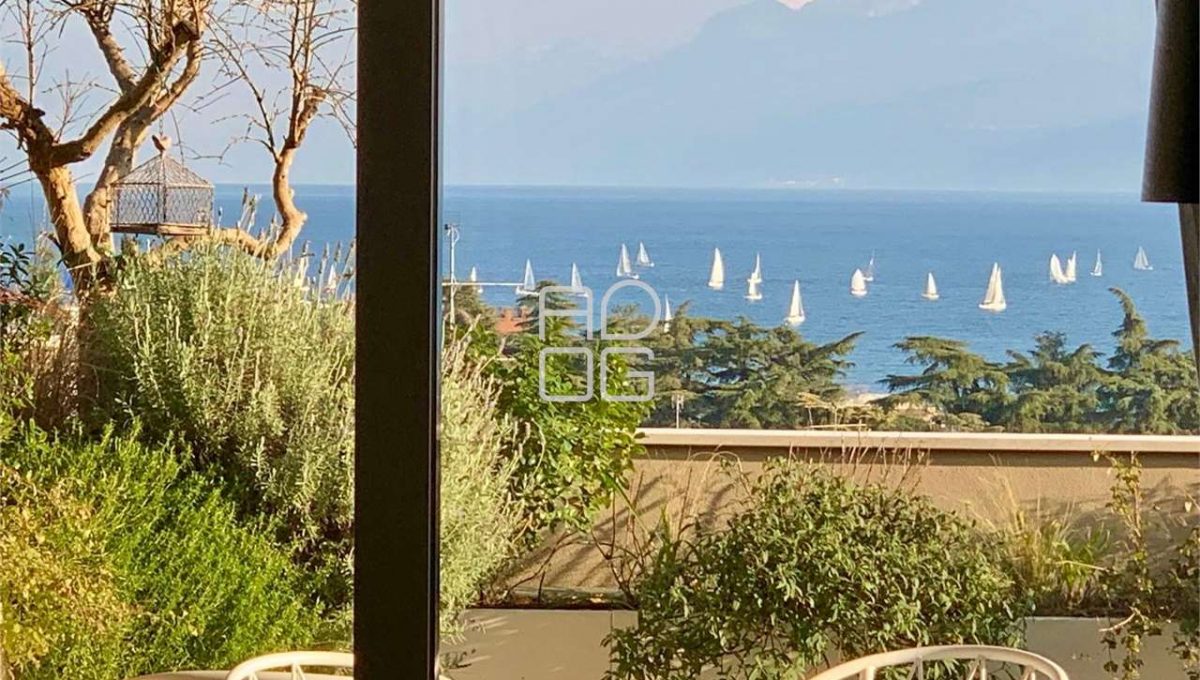 imm_69569-20251104182114-1280-_Watermark_png_mc