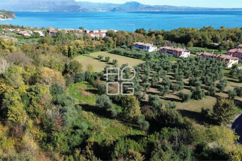 imm_69619-20251114145339-1280-_Watermark_png_mc