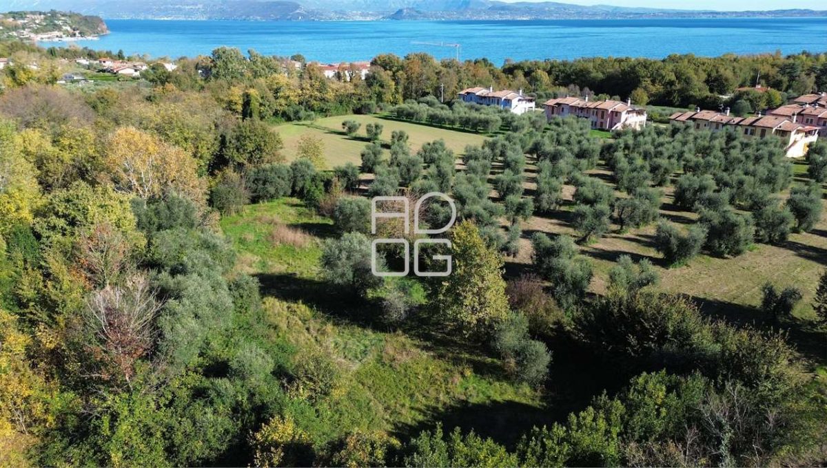 imm_69620-20251114145342-1280-_Watermark_png_mc