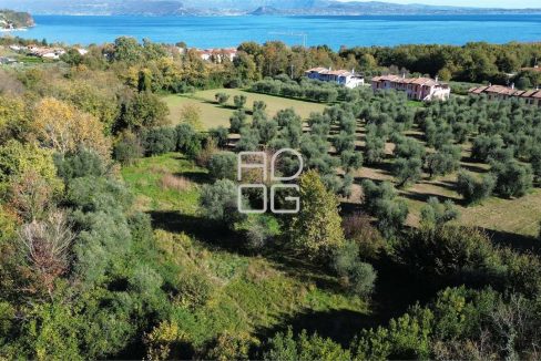 imm_69620-20251114145342-1280-_Watermark_png_mc