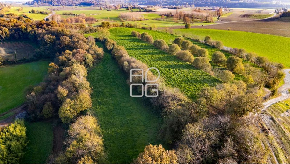 imm_69682-20251118172337-1280-_Watermark_png_mc