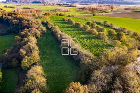 imm_69682-20251118172337-1280-_Watermark_png_mc