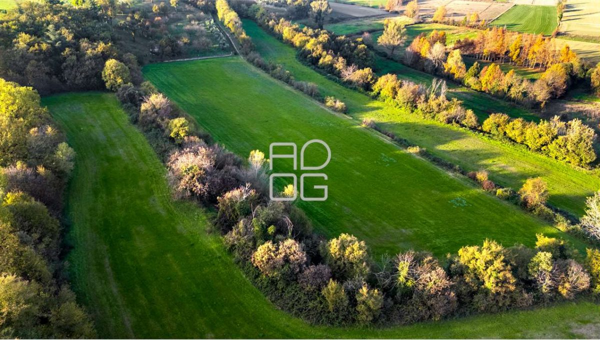 imm_69685-20251118172342-1280-_Watermark_png_mc