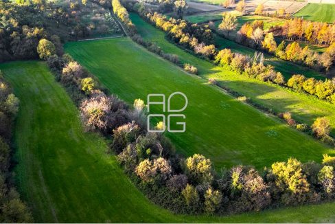 imm_69685-20251118172342-1280-_Watermark_png_mc