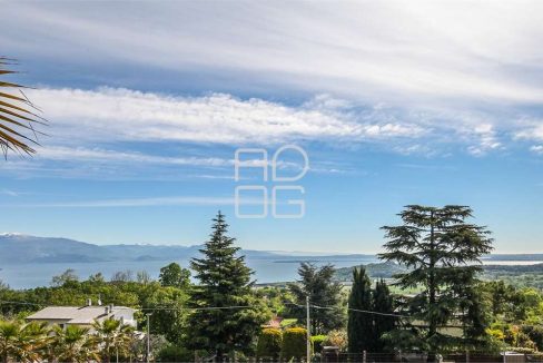 imm_69851-20251123203622-1280-_Watermark_png_mc