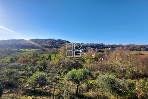 imm_69957-20251128112418-1280-_Watermark_png_mc