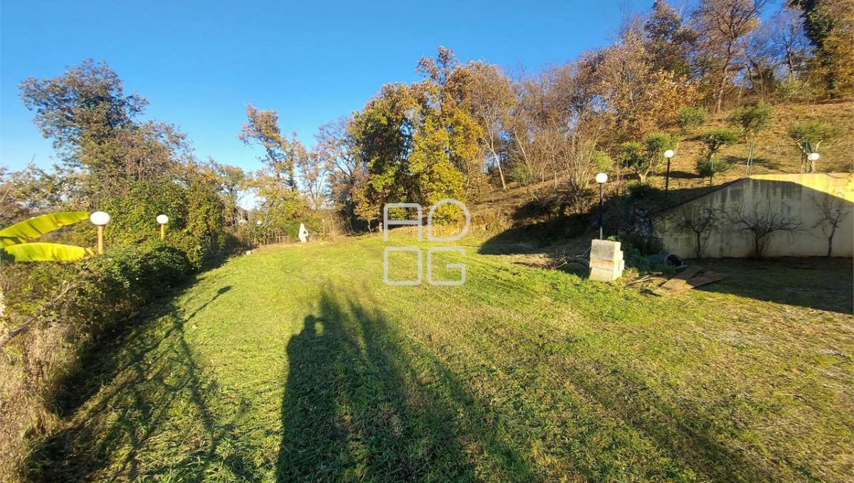 imm_69958-20251128112252-1280-_Watermark_png_mc