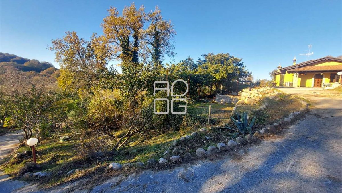 imm_69959-20251128112257-1280-_Watermark_png_mc