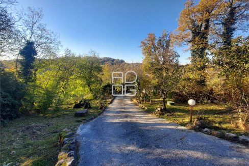 imm_69960-20251128112301-1280-_Watermark_png_mc