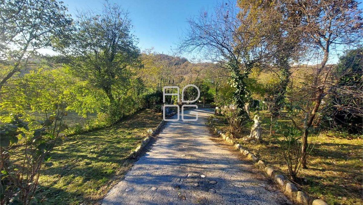 imm_69961-20251128112303-1280-_Watermark_png_mc