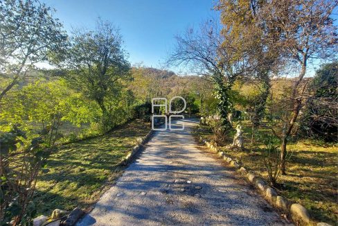 imm_69961-20251128112303-1280-_Watermark_png_mc