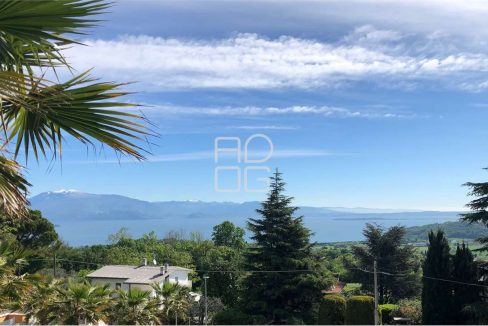 imm_69867-20251123213954-1280-_Watermark_png_mc