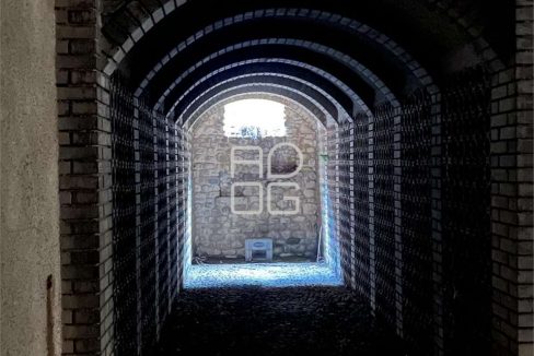 imm_70001-20251202095421-1280_Watermark_png_mc