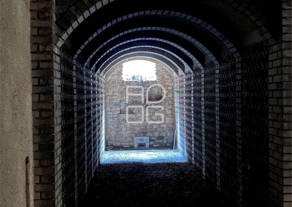 imm_70001-20251202095421-1280_Watermark_png_mc