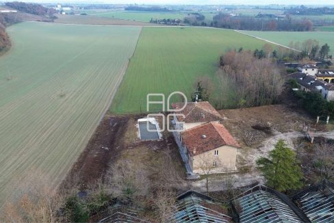 imm_70119-20251210164800-1280-_Watermark_png_mc